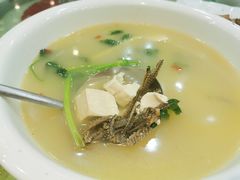 鳝骨豆腐汤-台山美食一绝阿四台山黄鳝饭(阿四创作店)