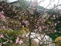 -雅达·阳羡溪山小镇中心