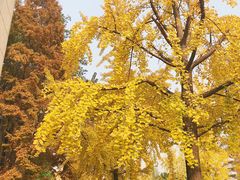 -四川大学(华西校区)