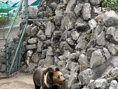 -成都动物园