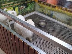 -上海大自然野生昆虫馆(东方明珠·爬宠昆虫探索中心)
