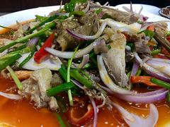椒麻鸡-老字号大盘鸡·丸子汤·抓饭