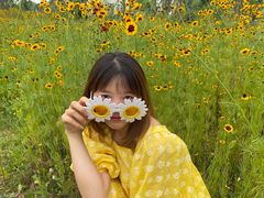 -三圣花乡旅游区