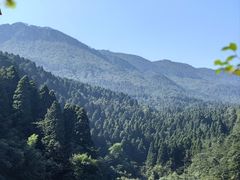 -庐山碧龙潭风景区