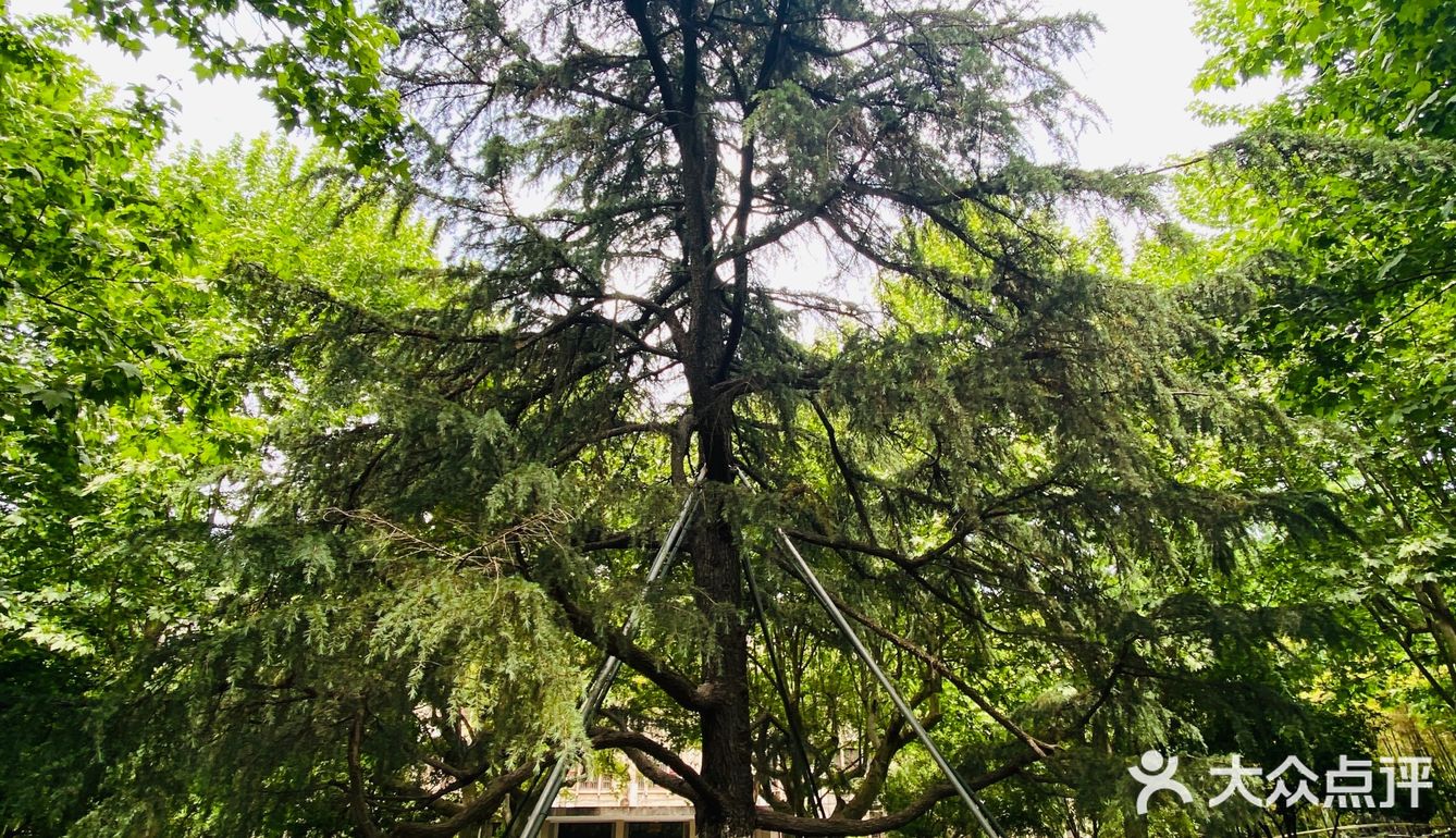 工商大学外的实惠小店