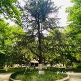 工商大学外的实惠小店