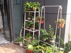 -Primo·丽莫意大利窑烤披萨