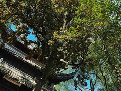 -天一阁博物院