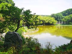 -河南省黄河迎宾馆