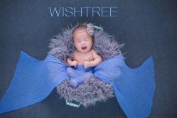 -愿望树儿童摄影(699文创店)