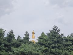 -护国法轮寺