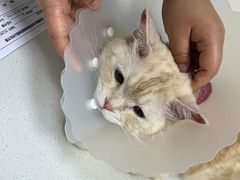 -美联众合动物医院·24h京西诊疗中心