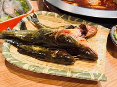 -铭记蛙小仙·活蛙畅享(CBD万达广场店)