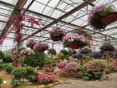 -南通洲际绿博园