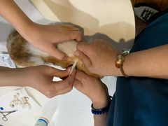 -瑞派动物医院·绝育·犬猫全科·预防医学(光景江南中店)