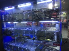 -石锅苗苗鱼(武汉首店)