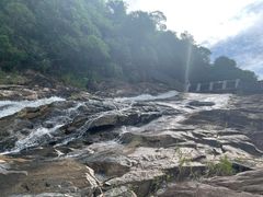 -广州白江湖森林公园