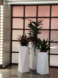 -广州美莱医疗美容医院