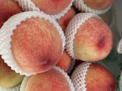 -西郊国际农产品交易中心