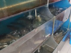 -滇香肴·云南菜蒸汽石锅鱼(云南北路店)