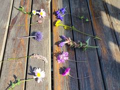 -白草畔自然风景区