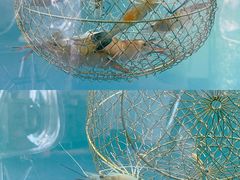 -SHRIMP CLUB万东餐饮钓虾·清吧