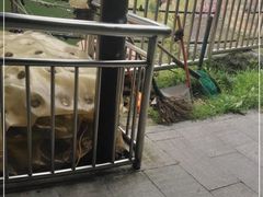 -杭州少年儿童公园
