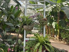 -石家庄市植物园