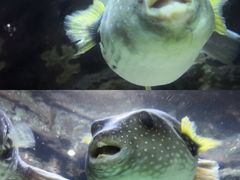 -南昌海洋公园