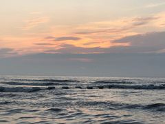 -日照海滨国家森林公园