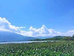 -大理洱海