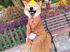-黄村公园