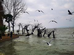 -捞渔河湿地公园