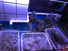 海鲜池-路边摊小炉子烧烤