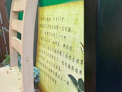 -荷兰花海