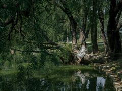 -人民公园(罗湖区)