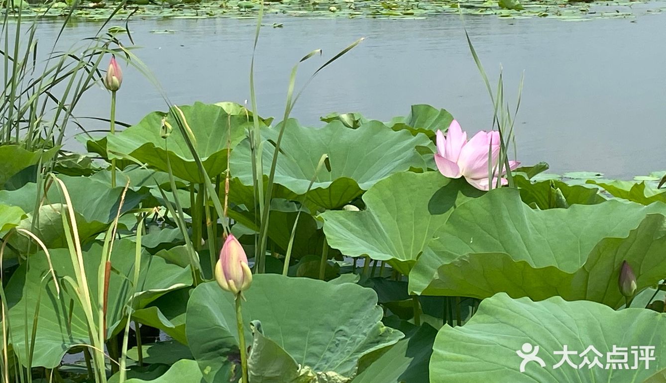  
沈阳周边游🌟旅行推荐🌟夏日避暑好去处