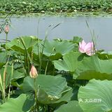  
沈阳周边游🌟旅行推荐🌟夏日避暑好去处