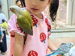 -正佳雨林生态植物园