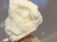 -野人先生现做冰淇淋(北京王府井东方新天地店)