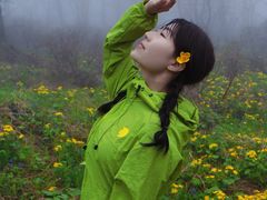 -凤凰山国家森林公园