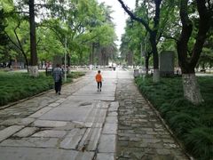 -明故宫遗址公园