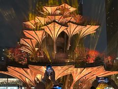 -陕西自然博物馆