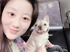 -申普宠物医院·眼科·心内科·影像科(普陀分院)