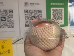 -老袁家蜜桃农场·阳山水蜜桃