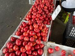 -江杨农产品批发市场