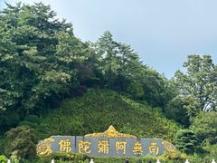 -庐山风景名胜区-东林大佛