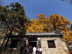-浮来山风景区