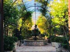 -The Grounds of Alexandria