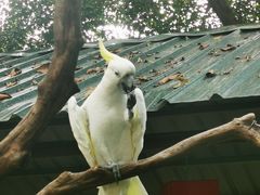 -广州长隆飞鸟乐园
